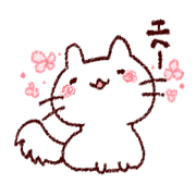 Cat is very cute