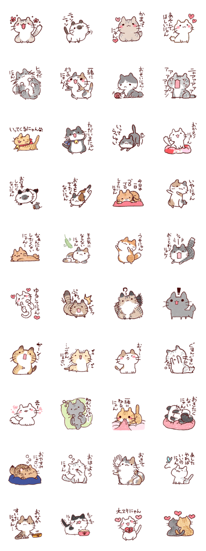 Cat is very cute