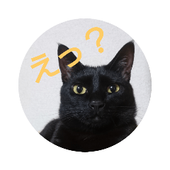 rulu_stamp