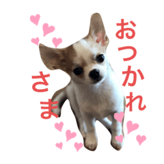 marumaru_20200624131255