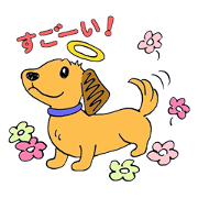 Lumo the Dog 2