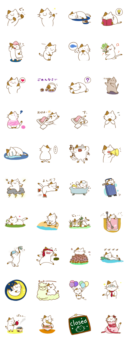 A Plump Cat's Life