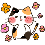 Loose field cat
