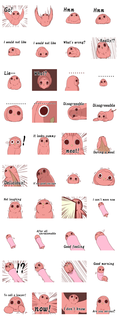 Twink owl English edition