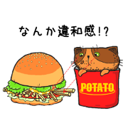 Hamburger cat 2