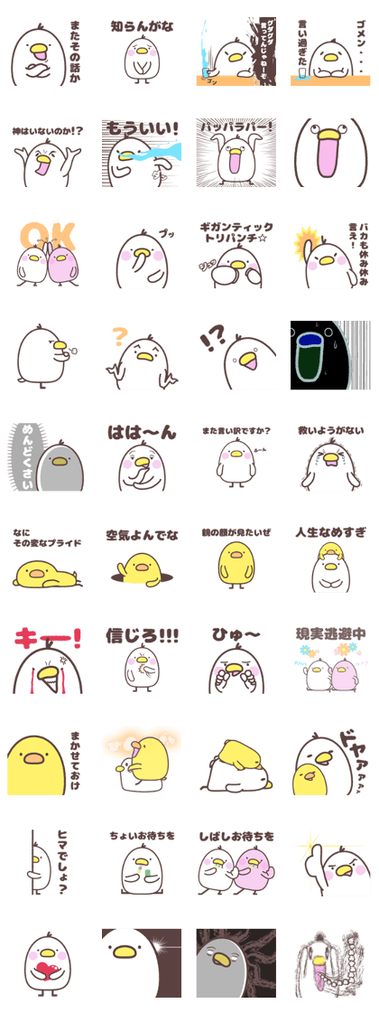 birds family
