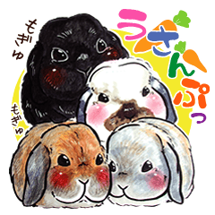 Sticker of rabbit owners