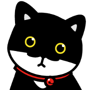 Jasper's Cats