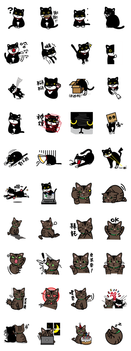 Jasper's Cats