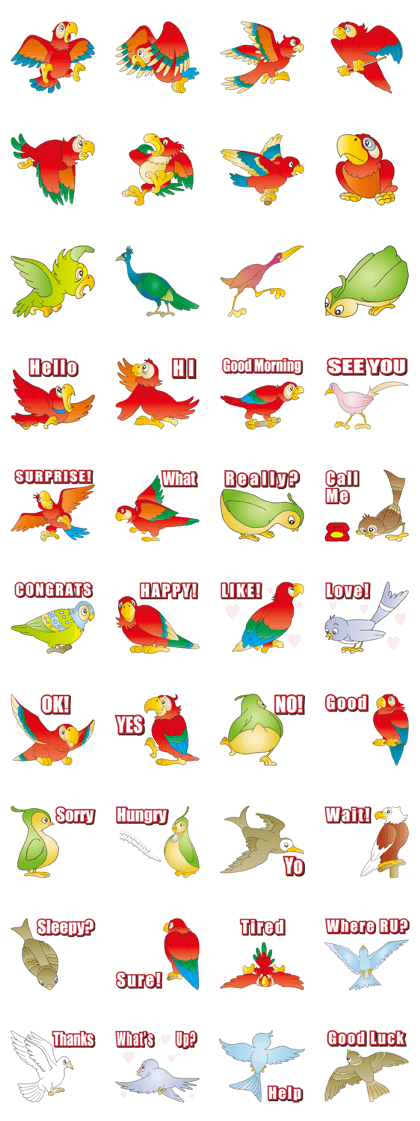 The Bird Paradise Part3
