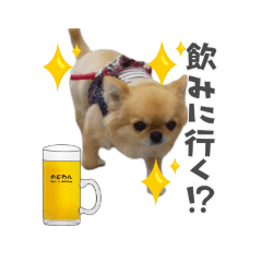 hana_20200624151945