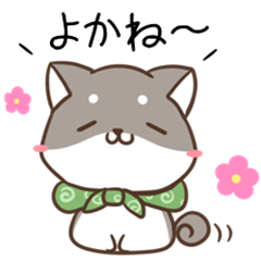 Kagoshima dialect cat &  shiba inu