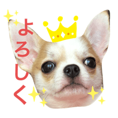 marumaru_20200624171459