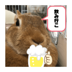 tomomi_20200624173347