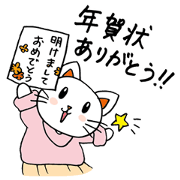 "Cat for end of the year & New Year's"