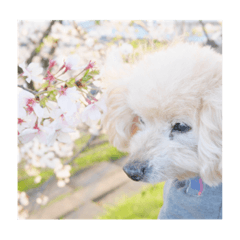 cocoa_20200624174000