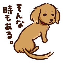 Miniature Dachshund MUGI-san vol.1