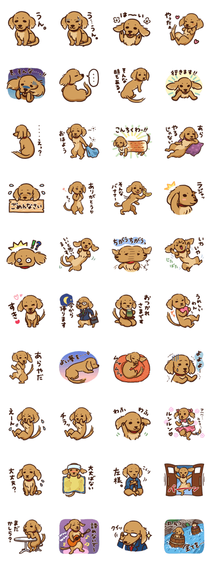 Miniature Dachshund MUGI-san vol.1