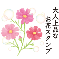 Adult Elegant Flower Sticker Everyday Line Stickers Line Store