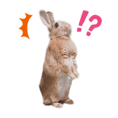 haruna_20200624173849