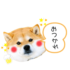 KAHO_20200624180559