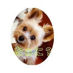 kazumi_20200624175257