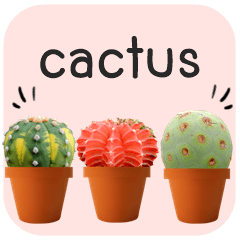 cactus languages v.4