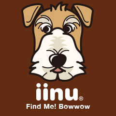 iinu - Wirehaired Fox Terrier