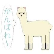 Animal connection