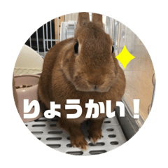 tomomi_20200624212250