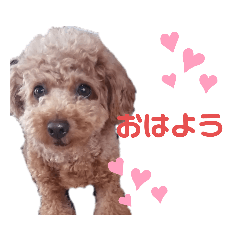 Aoi_20200624221548