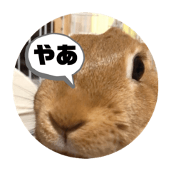 tomomi_20200624225408