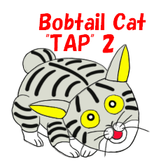 Japanese Bobtail cat "TAP" 2