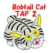 Japanese Bobtail cat "TAP" 2