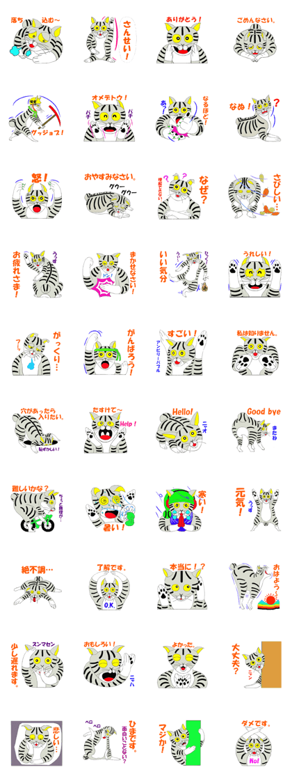 Japanese Bobtail cat "TAP" 2