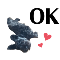 vivi_20200624230637