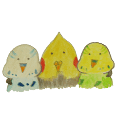 オカメインコ そして セキセイインコ Line スタンプ Line Store オカメインコ そして セキセイインコ Line スタンプ Line Store
