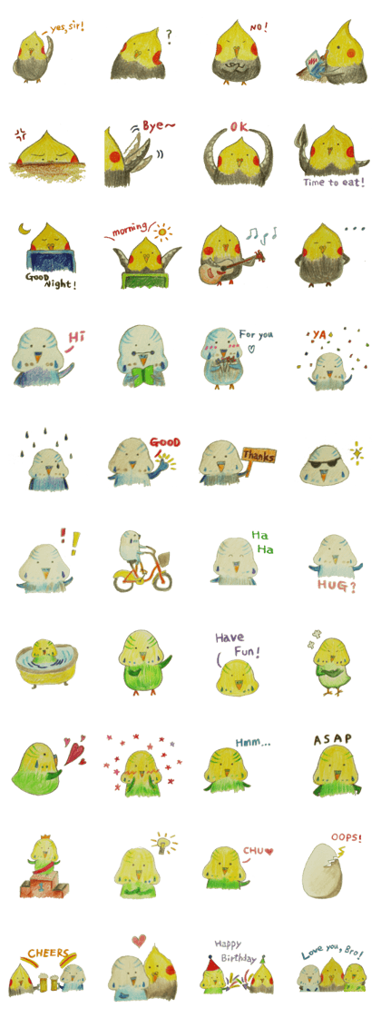 Cockatiel & Budgerigar (Hand-painted)