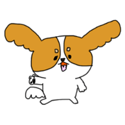 day of dog