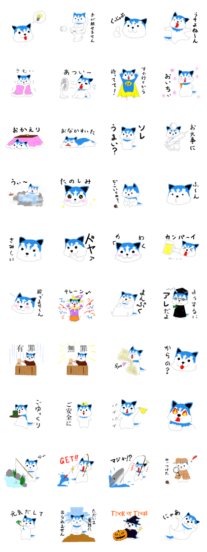 Pomsky "SHIN SHIN" 2