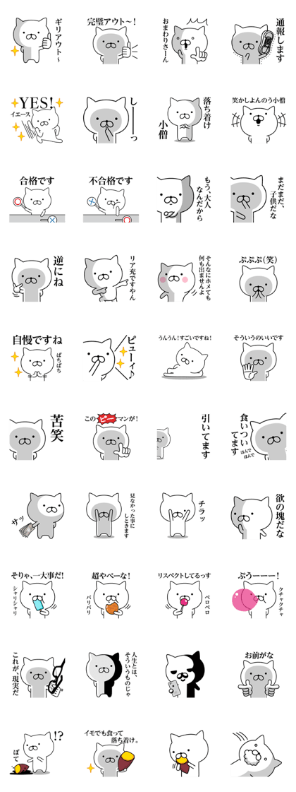 Invective cat 1