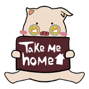 timmy