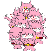 Champ cat