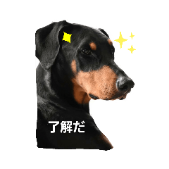 TARU_20200624192328