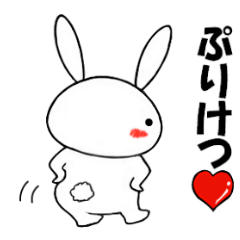 cute Rabbit usakichi life