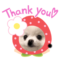 NATSUMI_20200624214942