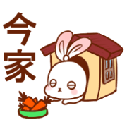 Boredom rabbit SUPER