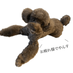 SAORI_20200625074430