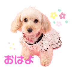 tomomi_20200625074131