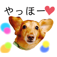 achaacha_20200625112238